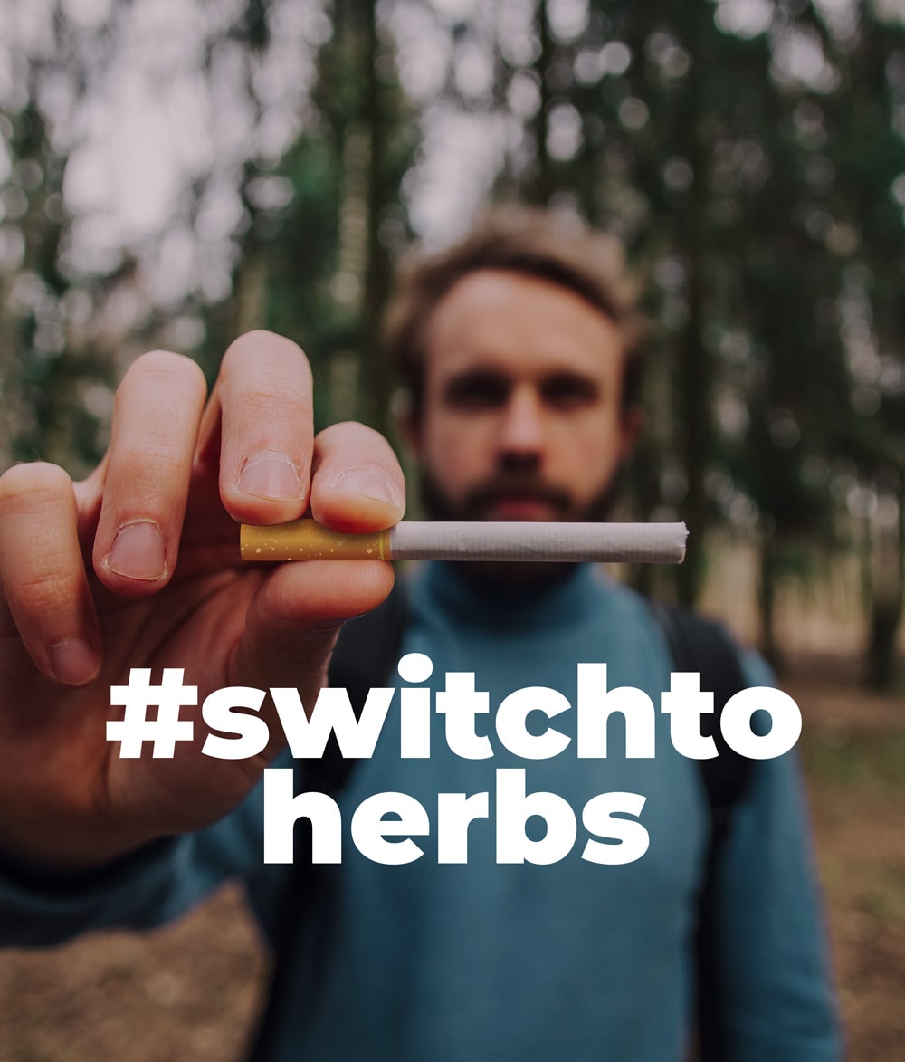 Switch to Herbs
